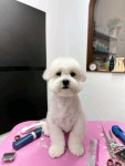 멍앤뭉