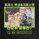 퍼라스복싱&크로스핏짐