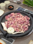 온담오리