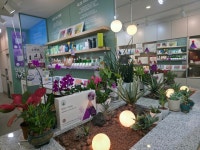 김정문알로에 강북가화점