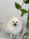 문멍