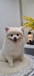 슬로독