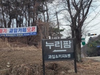 누리팜