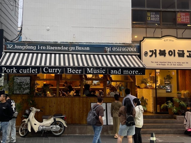 거북이금고