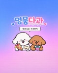 멍뭉다과