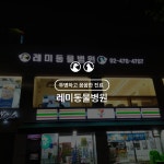 레미동물병원