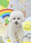 몽말순
