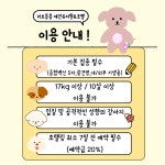 러브몽몽 애견유치원&애견호텔