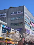 내포복싱격투기 D파이널짐