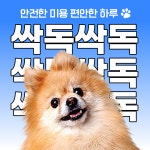 싹독싹독