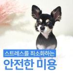 싹독싹독