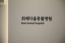위례다올동물병원