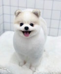 반자주 일광신도시점