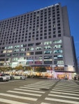 오토디렉션