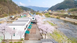 가평 봄 키즈 스파 가족 펜션