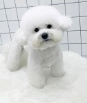 반자주 일광신도시점