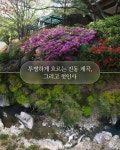 진동리의아침