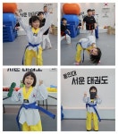 용인대 서운태권도