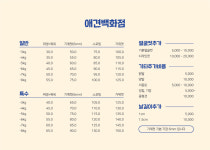 애견백화점