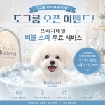 도그룸