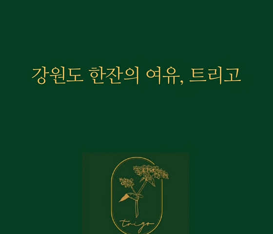 트리고 동해점 사진