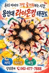 용인대라이온킹태권도