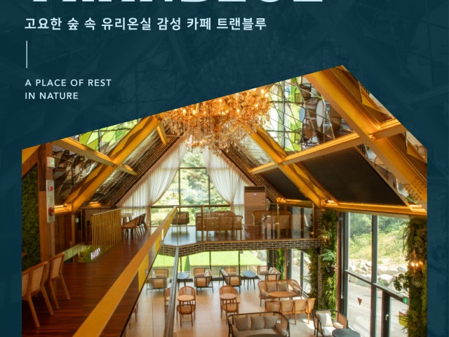 트랜블루&숲불구이