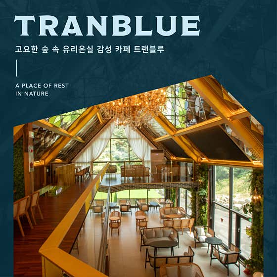 트랜블루&숲불구이 사진