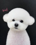 펫이발소