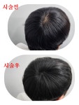 이진숙헤어모드 | 최창민헤어모드