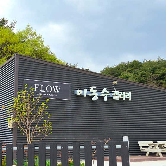 플로우 사진