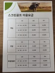 브이아이피스크린골프