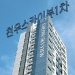천우스카이뷰1차