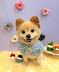 댕뜰리에