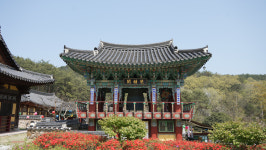 성륜사
