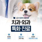 내곁에동물병원