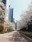 신세계공인중개사사무소