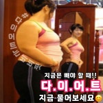 비비핏
