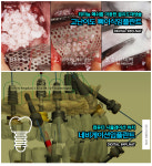 베스트e치과의원