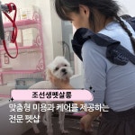 조선생펫살롱