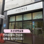 조선생펫살롱