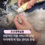 조선생펫살롱