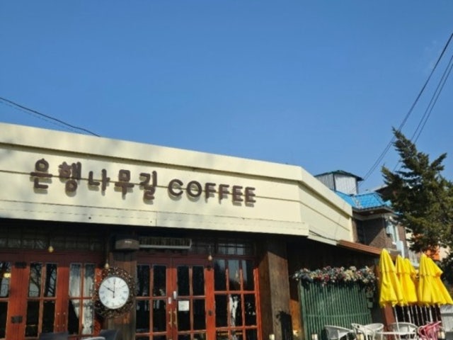 은행나무길카페