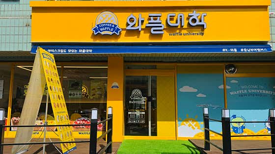 와플대학 충남부여캠퍼스 사진
