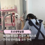 조선생펫살롱