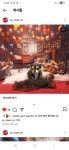 관저펫미용