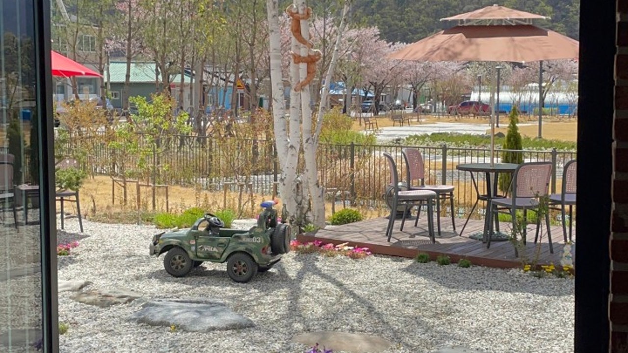 오늘
