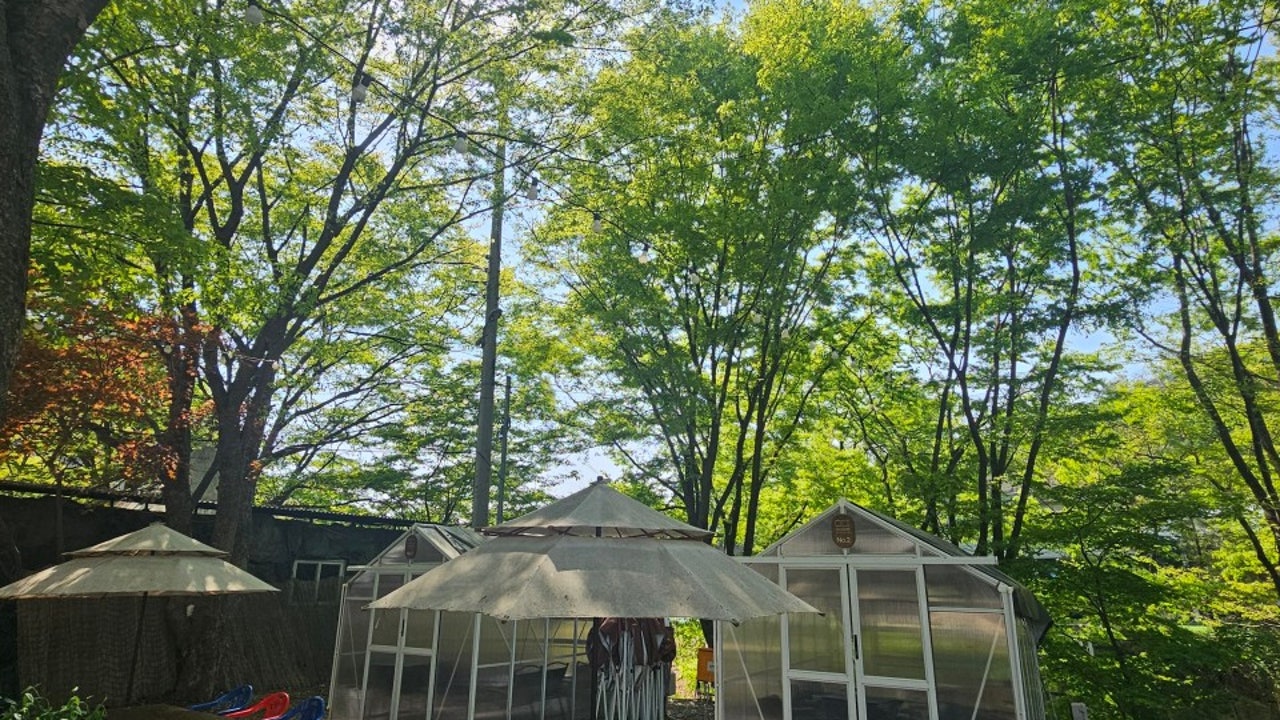 하이팔현