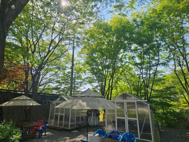 하이팔현