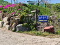 초록정원